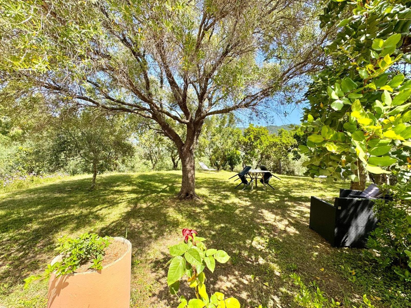 Villa With Pool Cardedu Extérieur photo